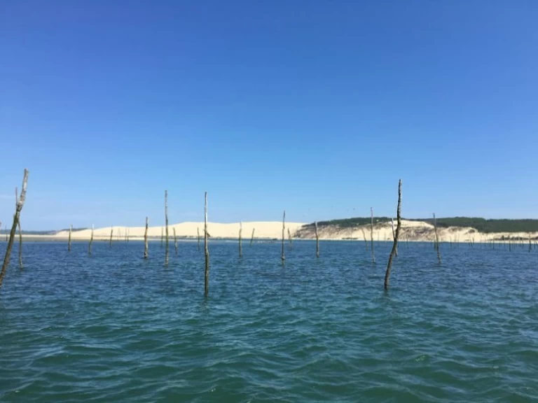 Motorboat rental with or without captain Bénéteau Arcachon