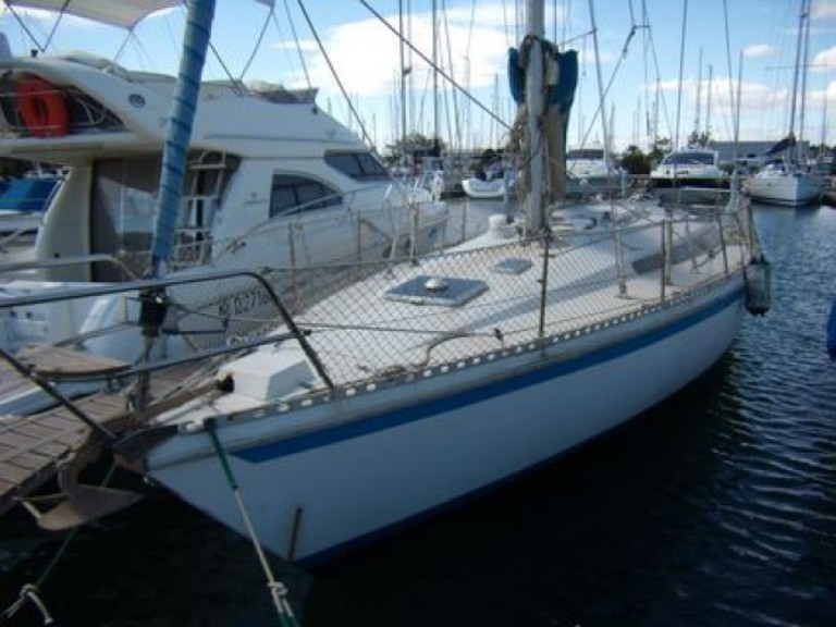 Boat rental Gibert Marine Gib Sea 116 in Diélette on Samboat