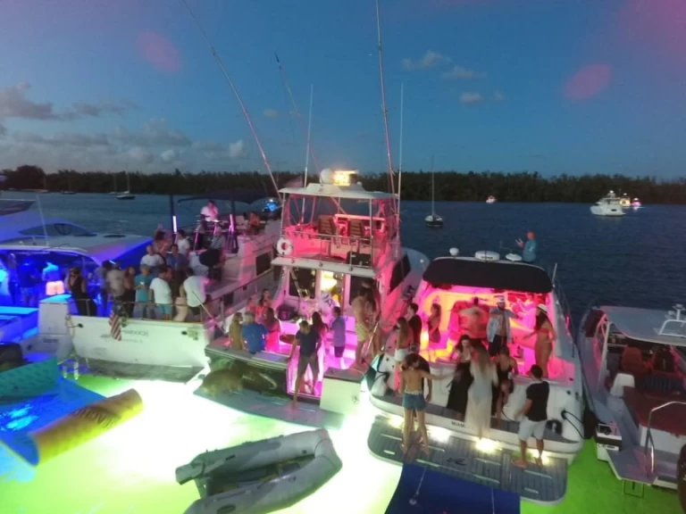 Yacht charter Miami cheap Sea Ray 410 Express Cruiser