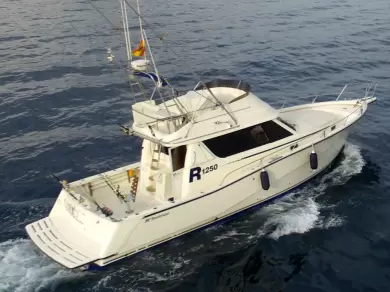 Motorboat rental with or without captain Rodman Marbella