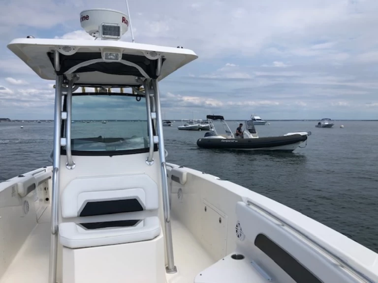 Yacht charter Piraillan cheap Scarab 30 Open