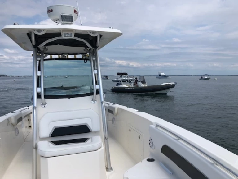 Motorboat rental in Piraillan - Wellcraft Scarab 30 Open