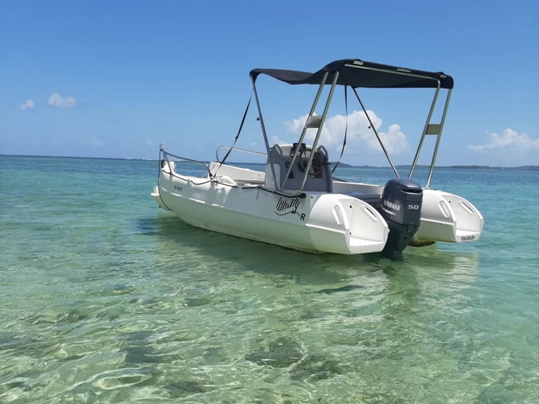 Bareboat Rental Motorboat Whaly with a boat licence