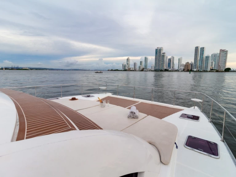 Leopard Leopard 47 Powercat in Cartagena on SamBoat