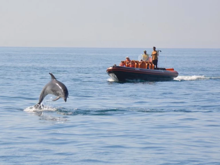 RIB for rent Vilamoura at the best price