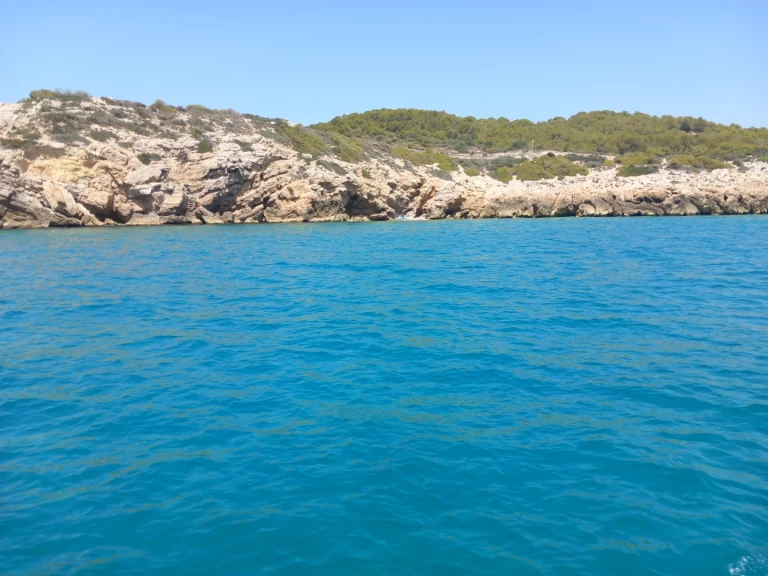 Four Winns Horizon 210 in Vilanova i la Geltrú on SamBoat