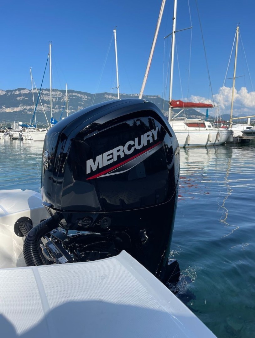 Rent a Motorboat BAYLINER VR4 OE in Viviers-du-Lac (Bayliner VR4