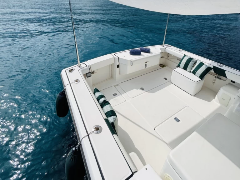 Bareboat Rental Motorboat PURSUIT  with a boat licence