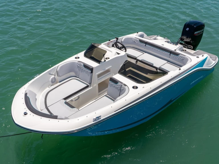 Rent a Bayliner M17 Aix-les-Bains