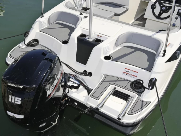Boat rental Bayliner M17 in Aix-les-Bains on Samboat