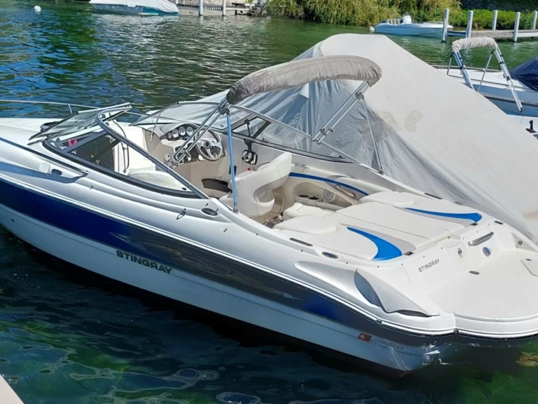 Motorboat rental in Geneva (District) - Stingray 225cr