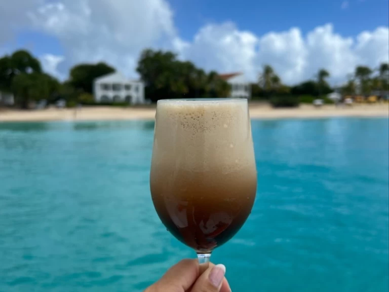 Yacht charter Marigot cheap Lavezzi 40 Maestro