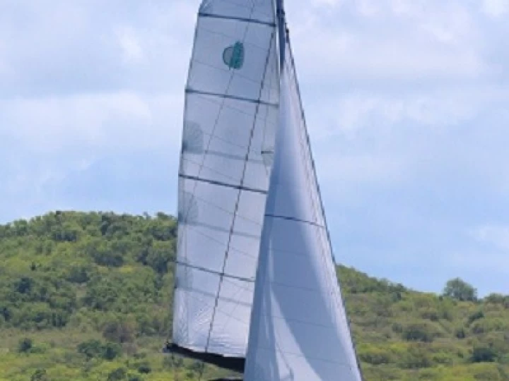 Lagoon Lagoon 450 in Saint Vincent (Island) on SamBoat