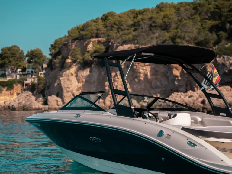 Bareboat Rental Motorboat Sea Ray with a boat licence