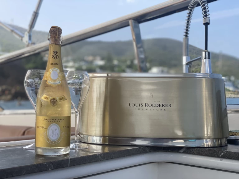 Luxury Yacht rental with or without captain Arno Leopard Allyene