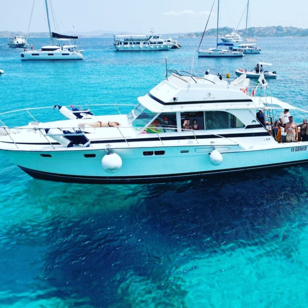 Rent a Motorboat Bertram 46.6 convertible in La Maddalena