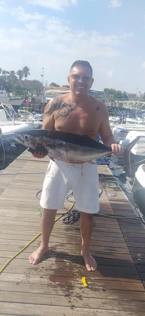 Boat rental Sealine Ambassador 360 in Ognina - Picanello - Barriera - Canalicchio on Samboat