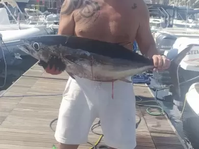 Boat rental Sealine Ambassador 360 in Ognina - Picanello - Barriera - Canalicchio on Samboat