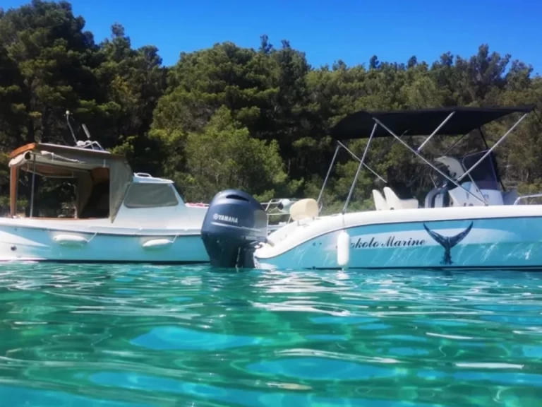 Bareboat Rental Motorboat Fisher with a boat licence
