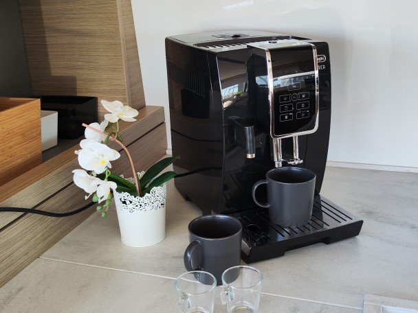 Lagoon Lagoon 46 charter bareboat or captained in  Palma de Mallorca