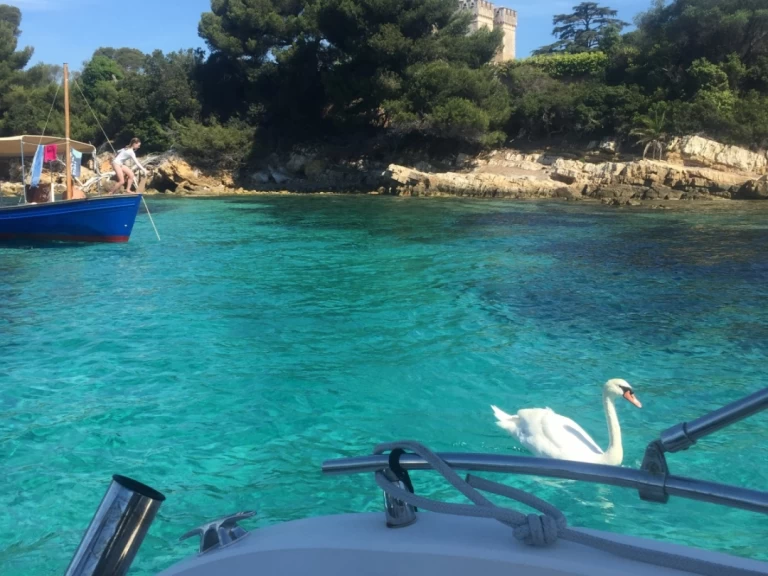 Ranieri Shadow 22 S charter bareboat or captained in  Cannes