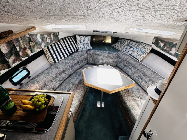 Bayliner Bayliner 2655 Ciera Sunbridge charter bareboat or captained in  Kumbor