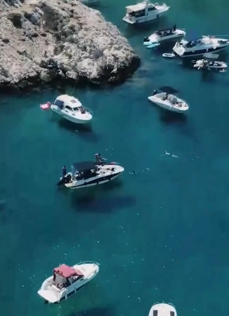 Quicksilver Activ 605 Open in Marseille on SamBoat