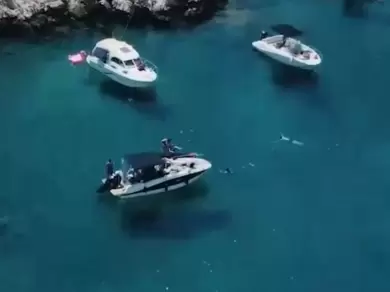 Quicksilver Activ 605 Open in Marseille on SamBoat
