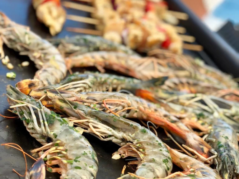 Bareboat Rental Catamaran Plan-Caroff with a boat licence