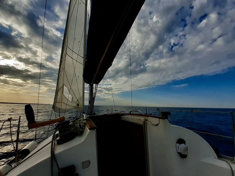 Boat rental Jeanneau Sun 2500 in Bisceglie on Samboat