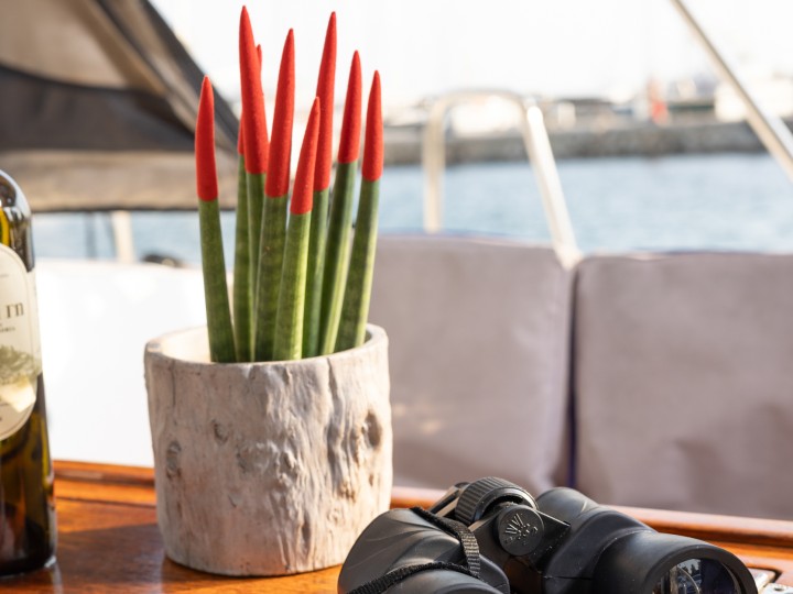 Sailboat rental with or without captain Bavaria Alimos