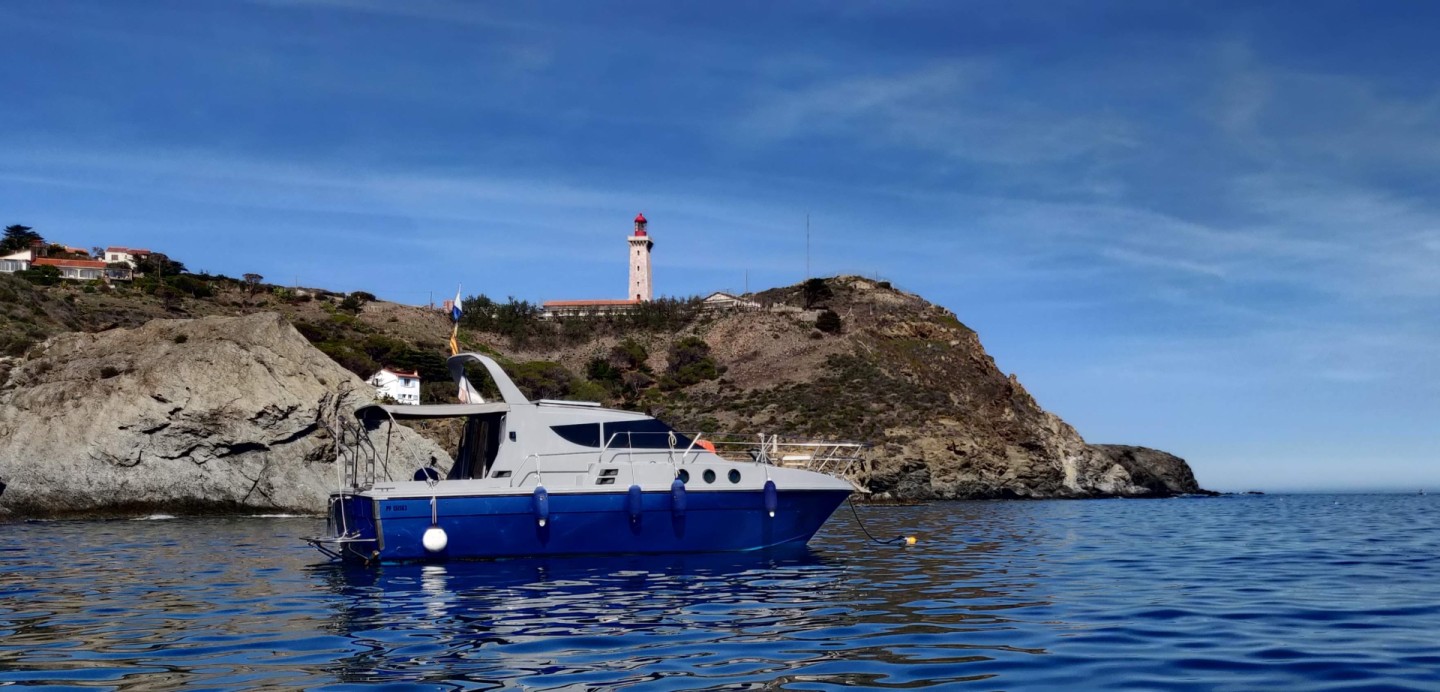 Rent a Motorboat Azimut AZ 32 Targa in Banyuls-sur-Mer (Gamyje 2