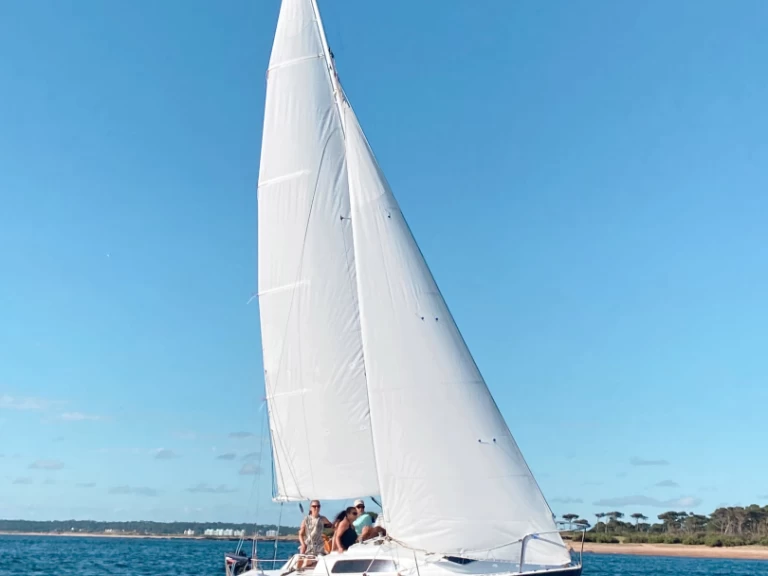 Sailboat rental with or without captain Ezcurra Punta del Este