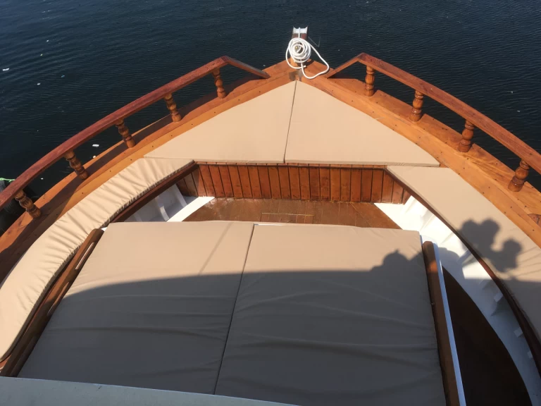 Motorboat rental with or without captain Festança Rio de Janeiro