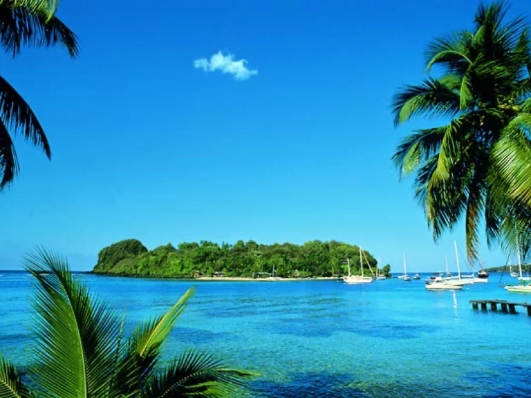 Tortarollo Sloop one design in Fort-de-France on SamBoat