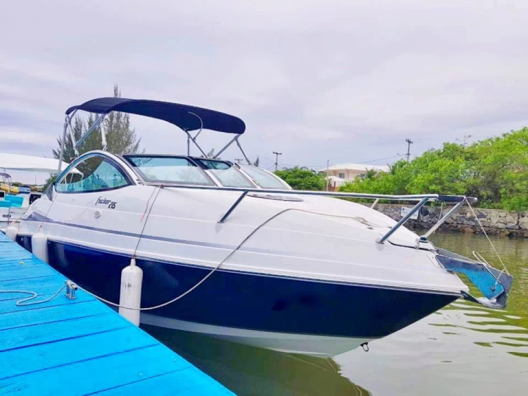 Motorboat rental with or without captain Focker Armação dos Búzios