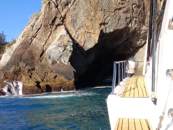 Motorboat for rent Armação dos Búzios at the best price