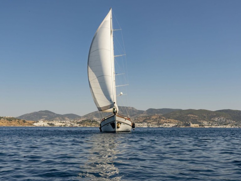 Bareboat Rental Sailboat Custom Made with a boat licence