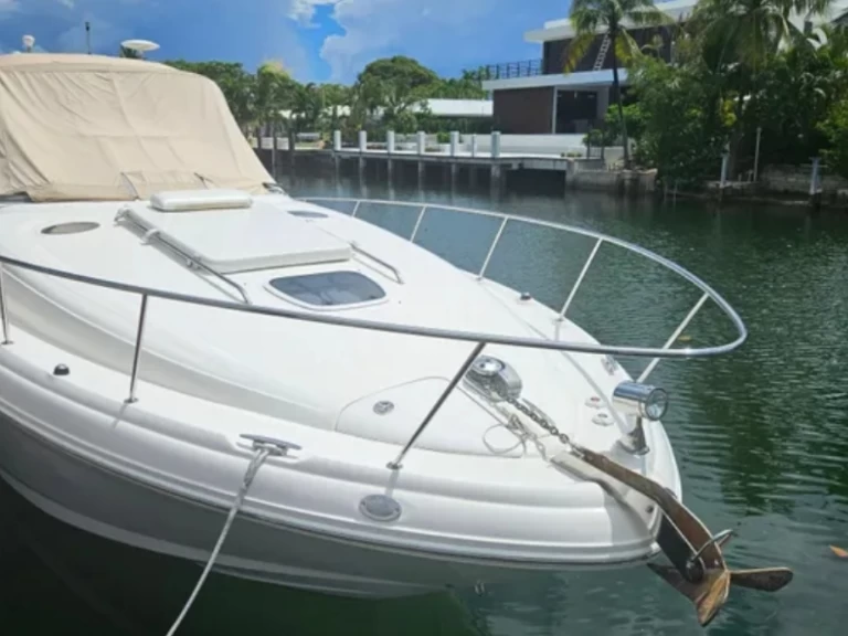 Bareboat Rental Motorboat Sea Ray with a boat licence