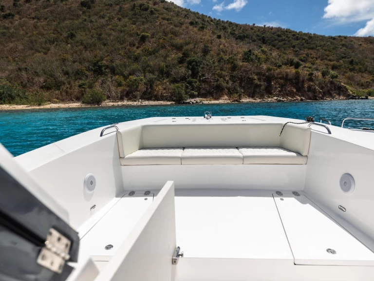 Motorboat rental in Nanny Cay - Silvercat 34