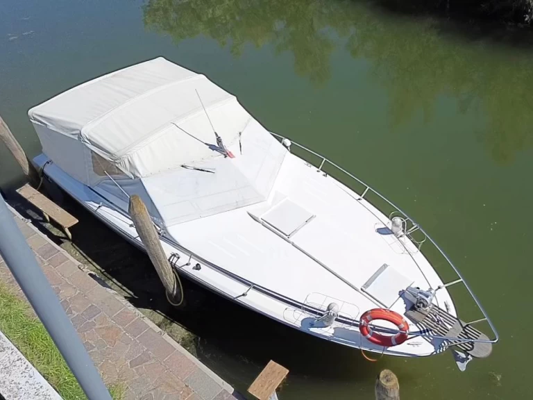 Yacht charter Venice cheap Sea Ray 310 Express