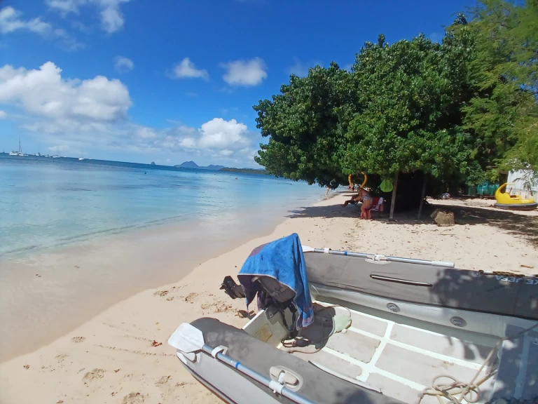 Boat rental Bavaria Bavaria 46 Cruiser in Le Marin on Samboat