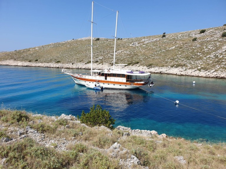 Sailboat rental with or without captain Custom Made Split