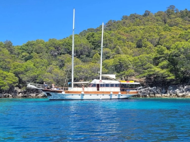 Rent a Custom Made Vito Split