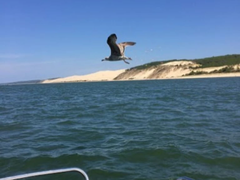 Bareboat Rental Motorboat Bénéteau with a boat licence