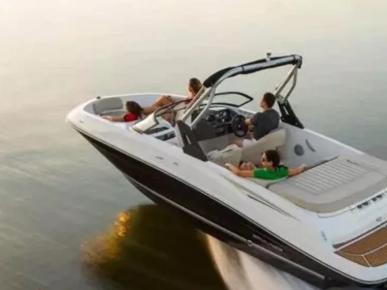 Motorboat rental with or without captain Bayliner Petit Piquey