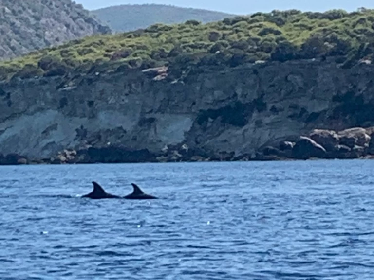 Bareboat Rental Motorboat Assos Marine with a boat licence