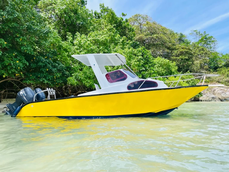 Motorboat for rent Victoria at the best price