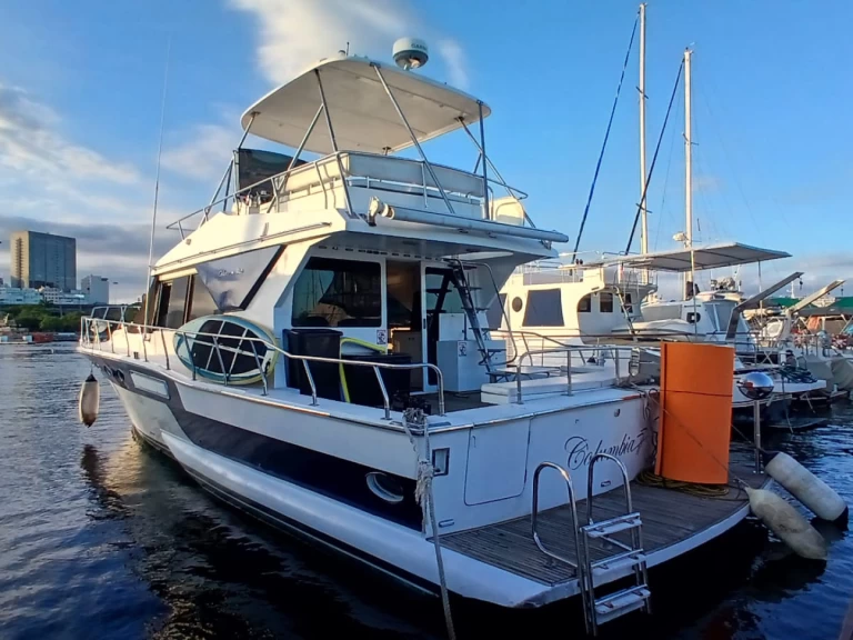 Motorboat rental with or without captain Capelli Rio de Janeiro