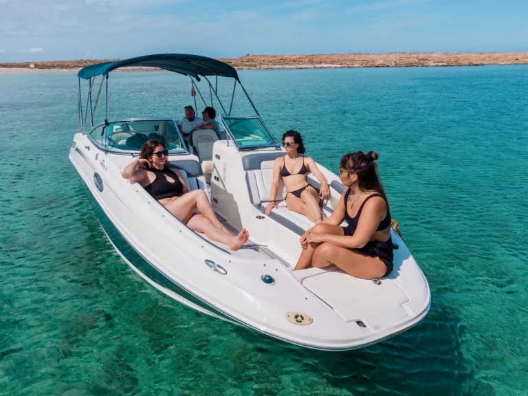 Yacht charter Ibiza Town cheap Sea Ray 260 Sundeck